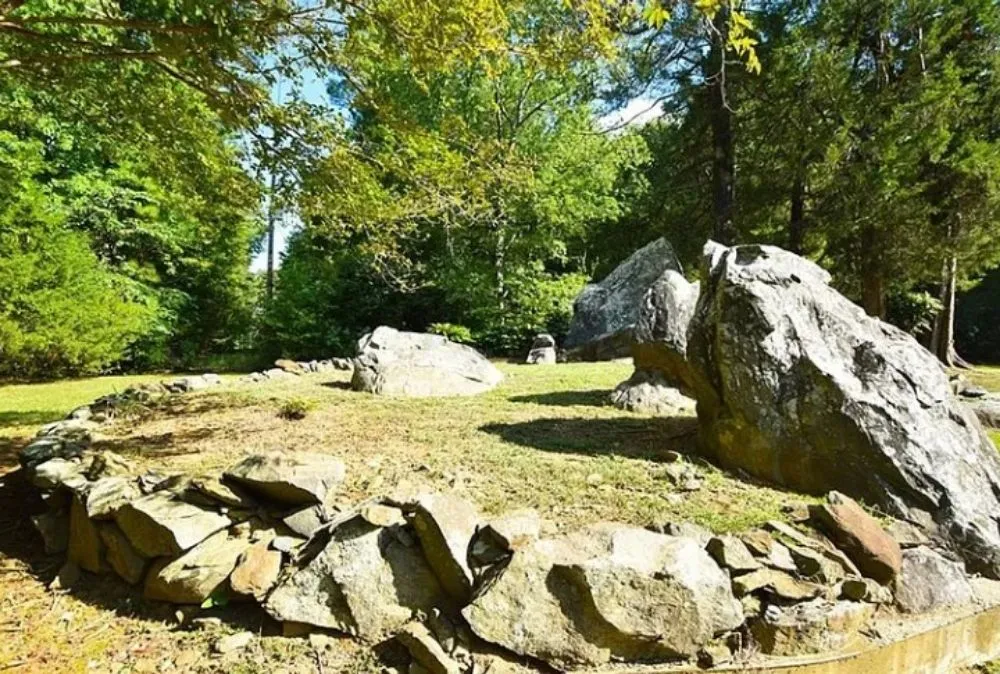 Reliable lawn care service in Cary, NC by Stars Landscape