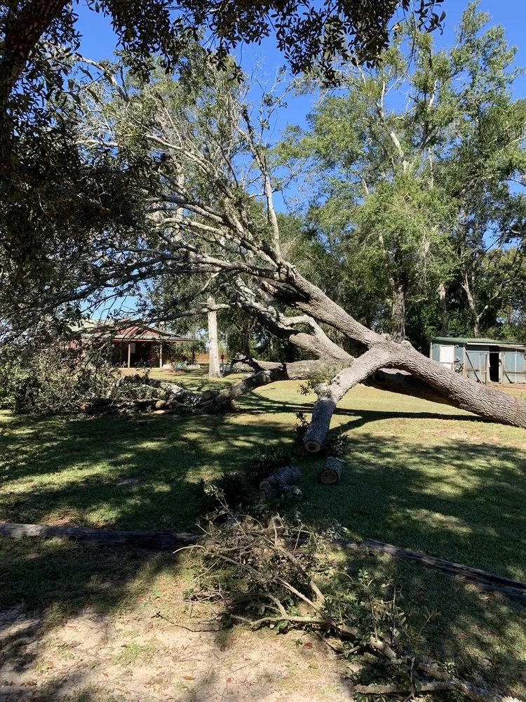Trusted landscape design in Foley, AL by Star’s Lawncare Irrigation