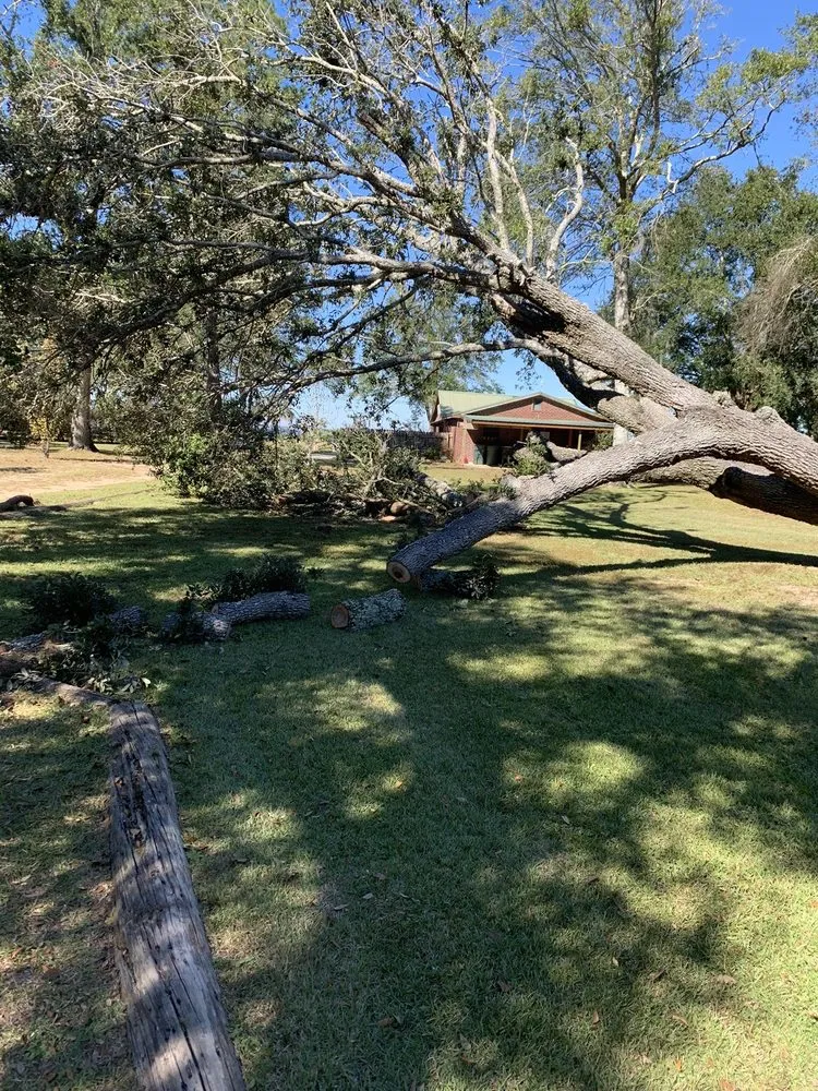 Reliable yard cleanup service in Foley, AL - Star’s Lawncare Irrigation