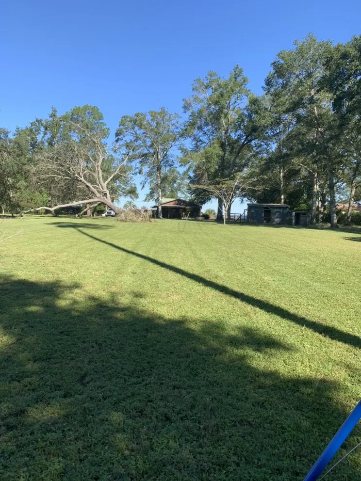 Expert yard cleanup service in Foley, AL by Star’s Lawncare Irrigation