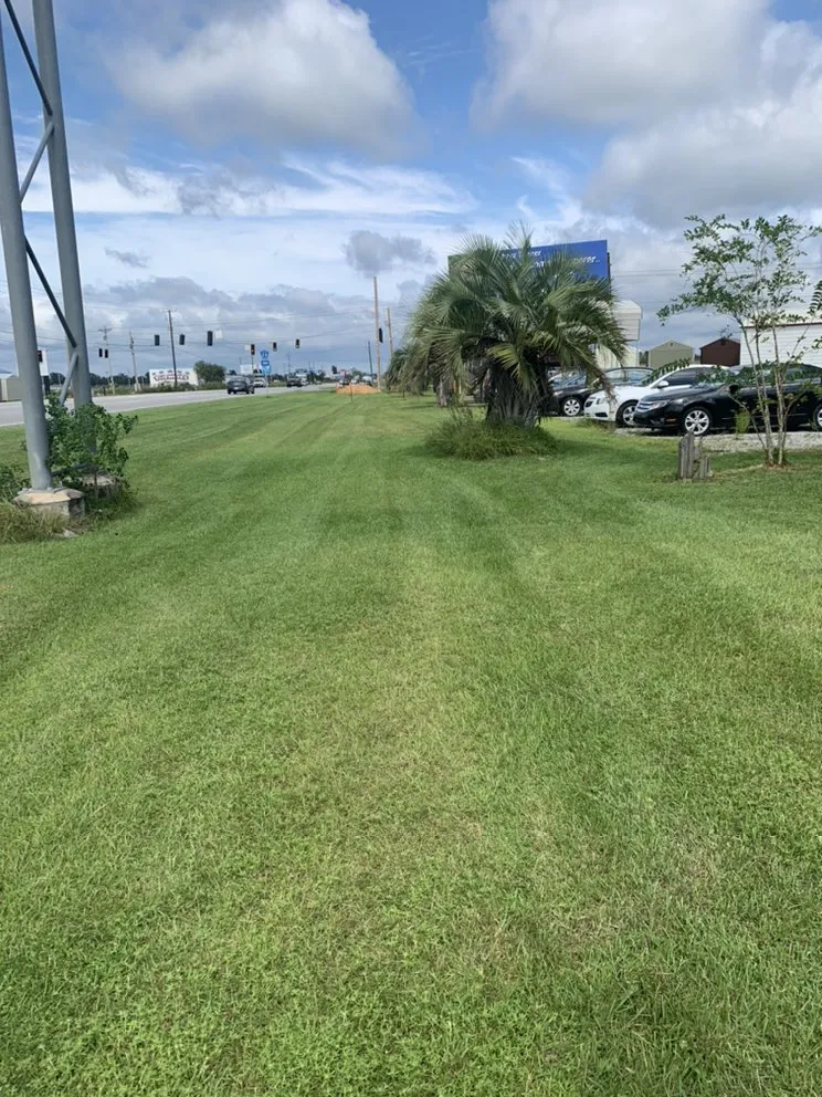 Top-rated lawn mowing service experts serving Foley, AL - Star’s Lawncare Irrigation