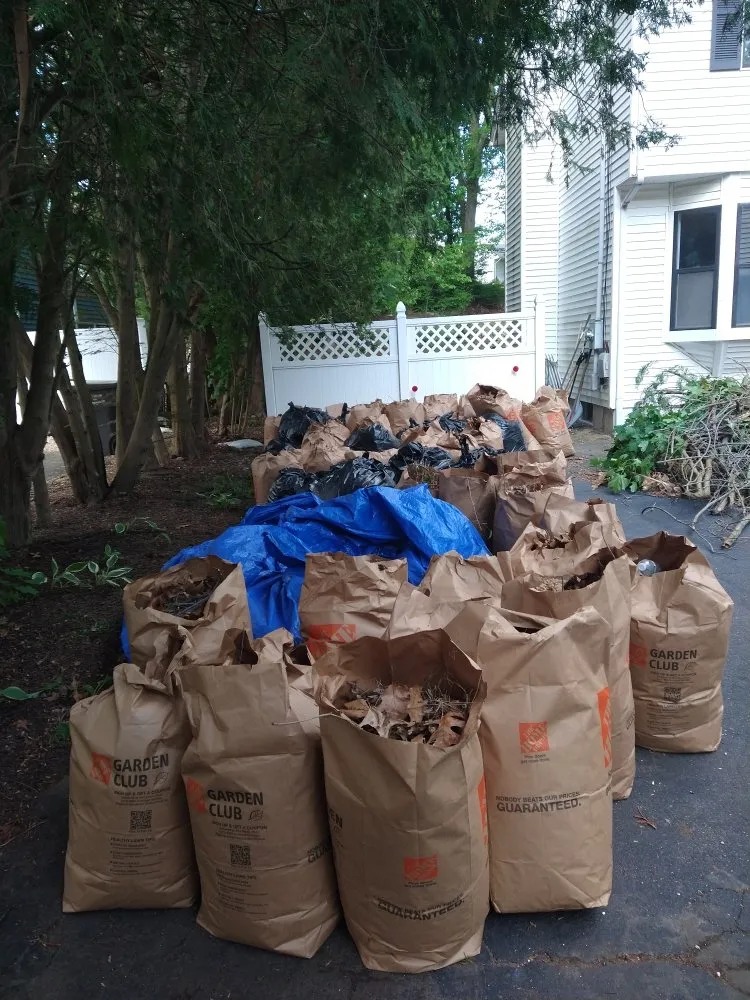 Local landscape design experts serving Hamden, CT - Starscape