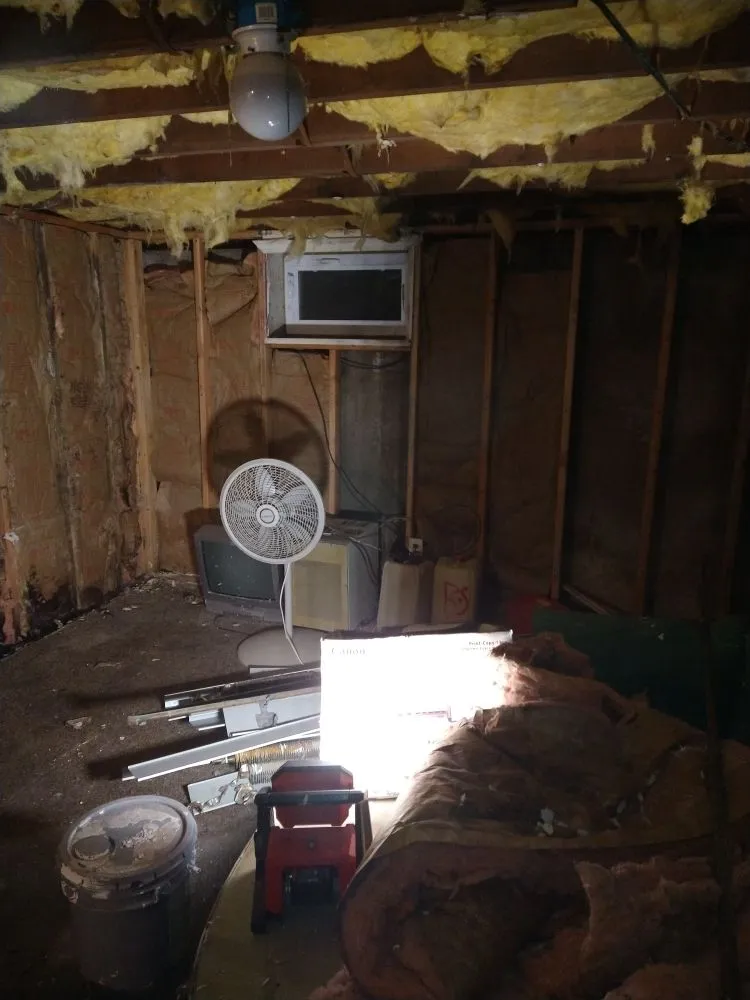 Top-rated yard cleanup service in Hamden, CT - Starscape