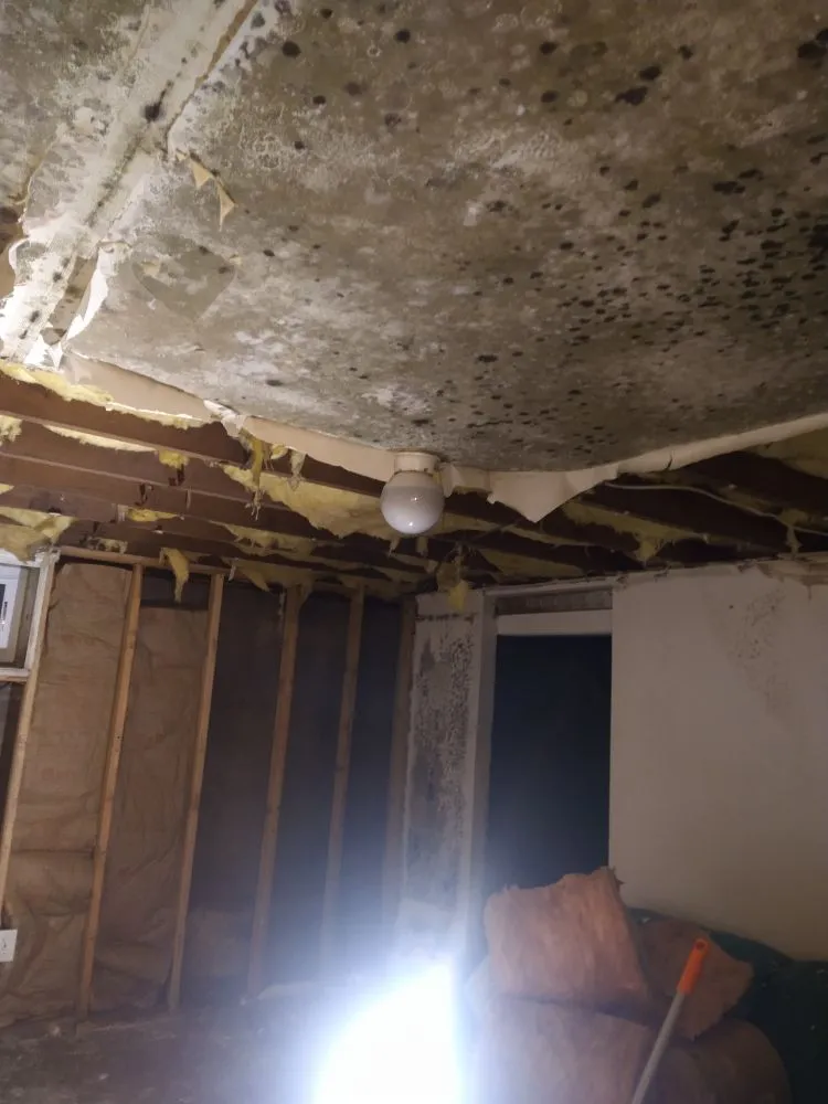 Custom landscaping services experts serving Hamden, CT - Starscape