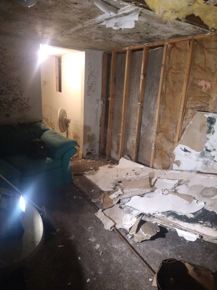 Expert garden landscaping in Hamden, CT - Starscape