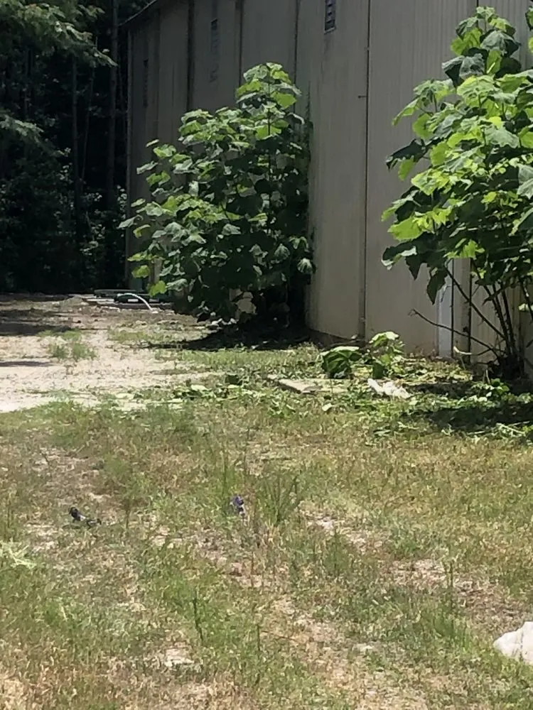 Professional yard cleanup service experts serving Decatur, GA - Start 2 Finish Home/Lawn Improvement