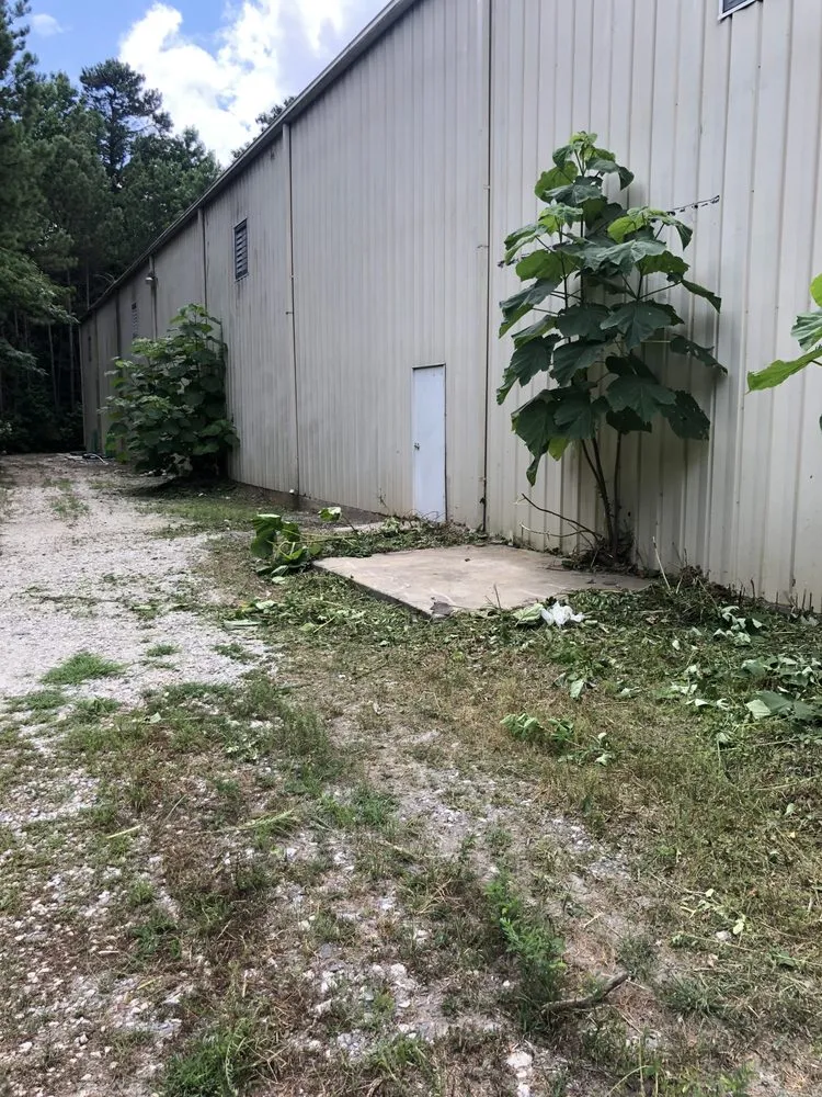 Expert lawn care service in Decatur, GA by Start 2 Finish Home/Lawn Improvement