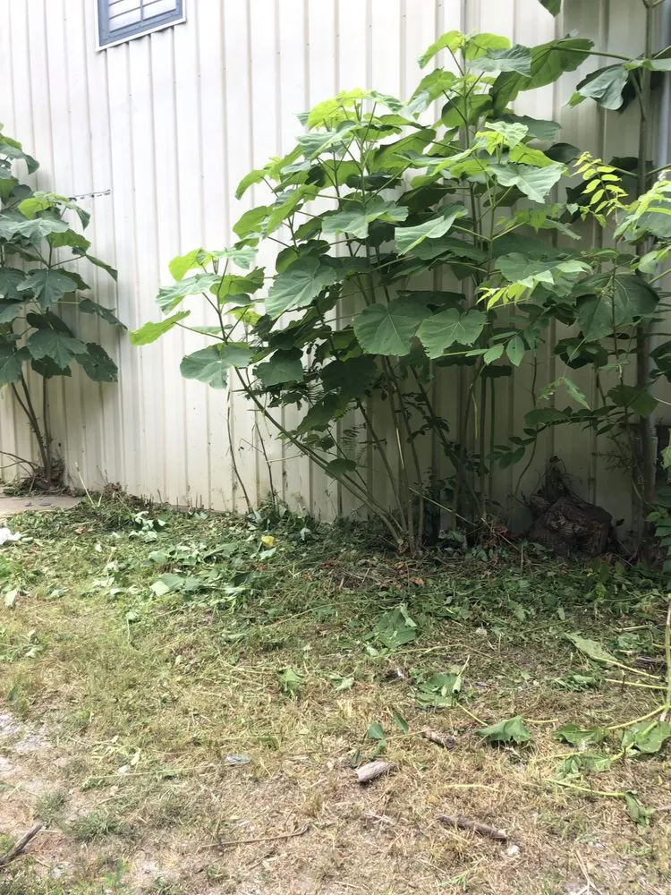 Expert garden landscaping with custom design in Decatur, GA by Start 2 Finish Home/Lawn Improvement