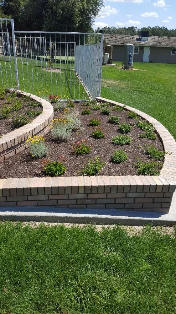 Reliable landscaping services for beautiful yards across Lemoore, CA - Start Fresh Landscaping