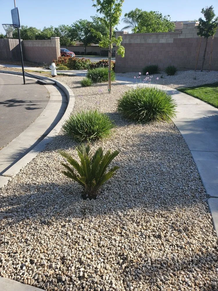 Local outdoor landscaping in Lemoore, CA - Start Fresh Landscaping
