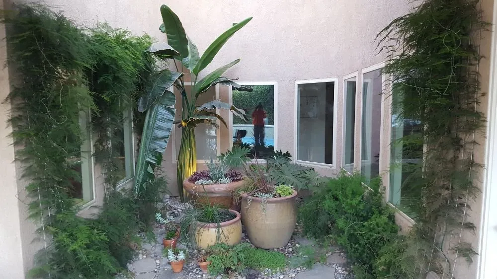 Custom landscape design for year-round maintenance in Lemoore, CA by Start Fresh Landscaping