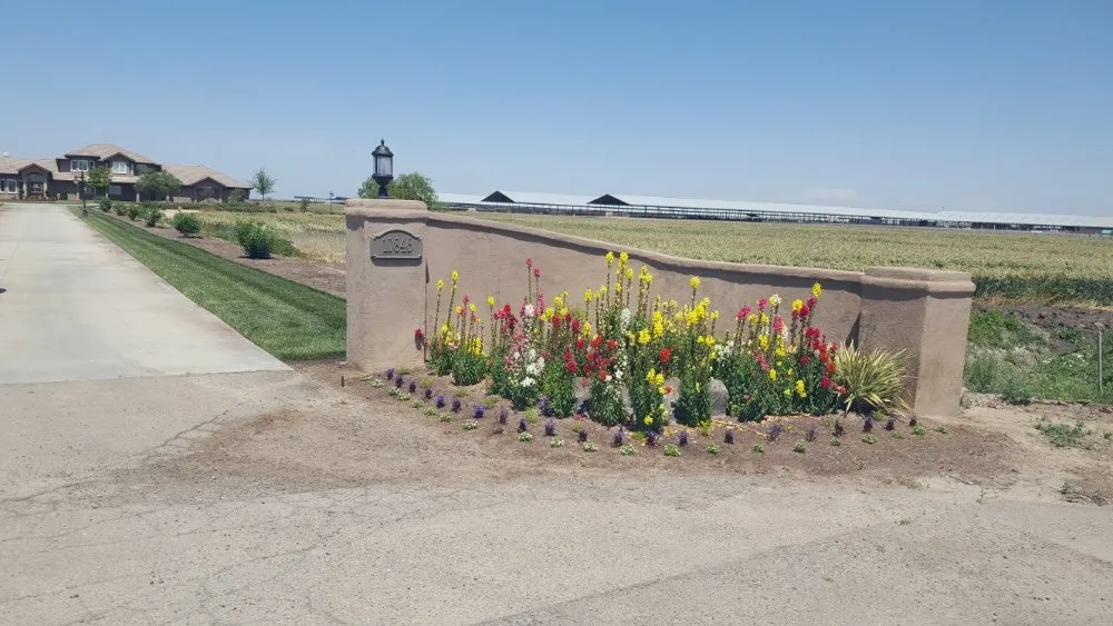 Trusted yard cleanup service with custom design in Lemoore, CA by Start Fresh Landscaping