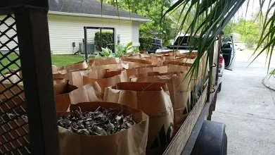 Expert landscape installation with custom design across Archer, FL - Start To Finish Lawn Care