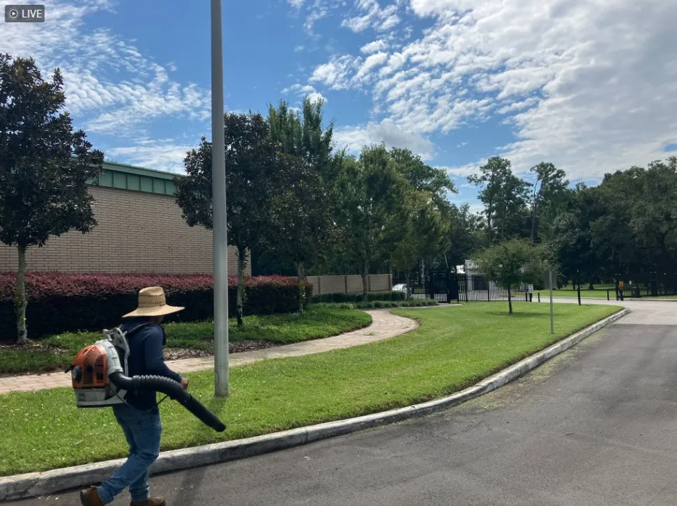 Local yard cleanup service experts serving Archer, FL - Start To Finish Lawn Care