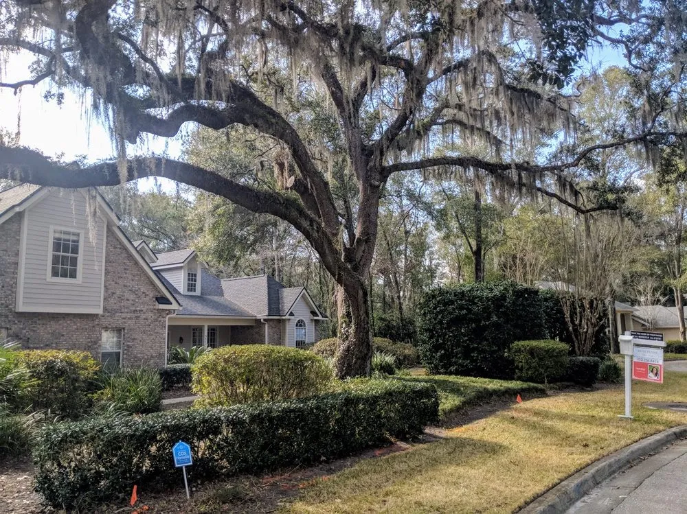 Professional landscaping services in Archer, FL by Start To Finish Lawn Care