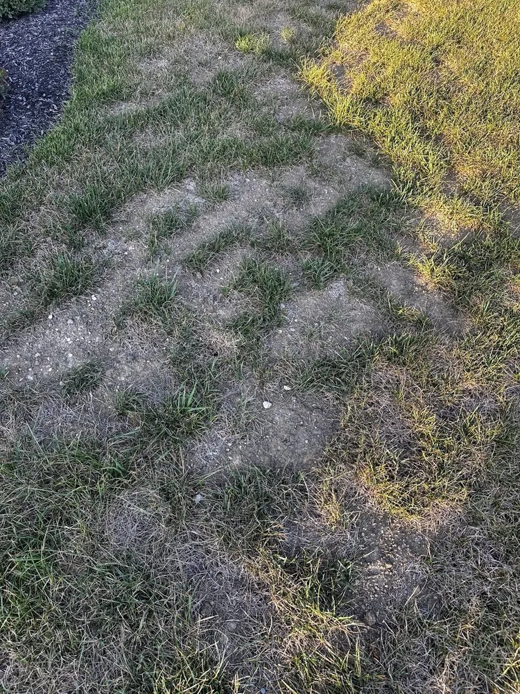 Reliable lawn care service experts serving Whitestown, IN - Start To Finish