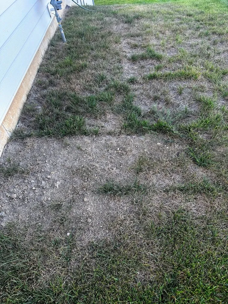 Affordable landscape design near you across Whitestown, IN - Start To Finish