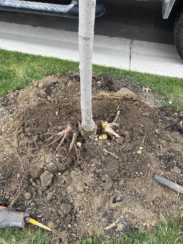 Reliable lawn mowing service near you across Whitestown, IN - Start To Finish