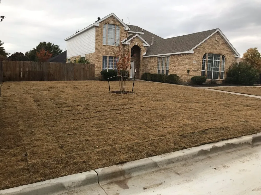 Affordable lawn mowing service for residential properties in Dallas, TX by STARTEX Landscaping