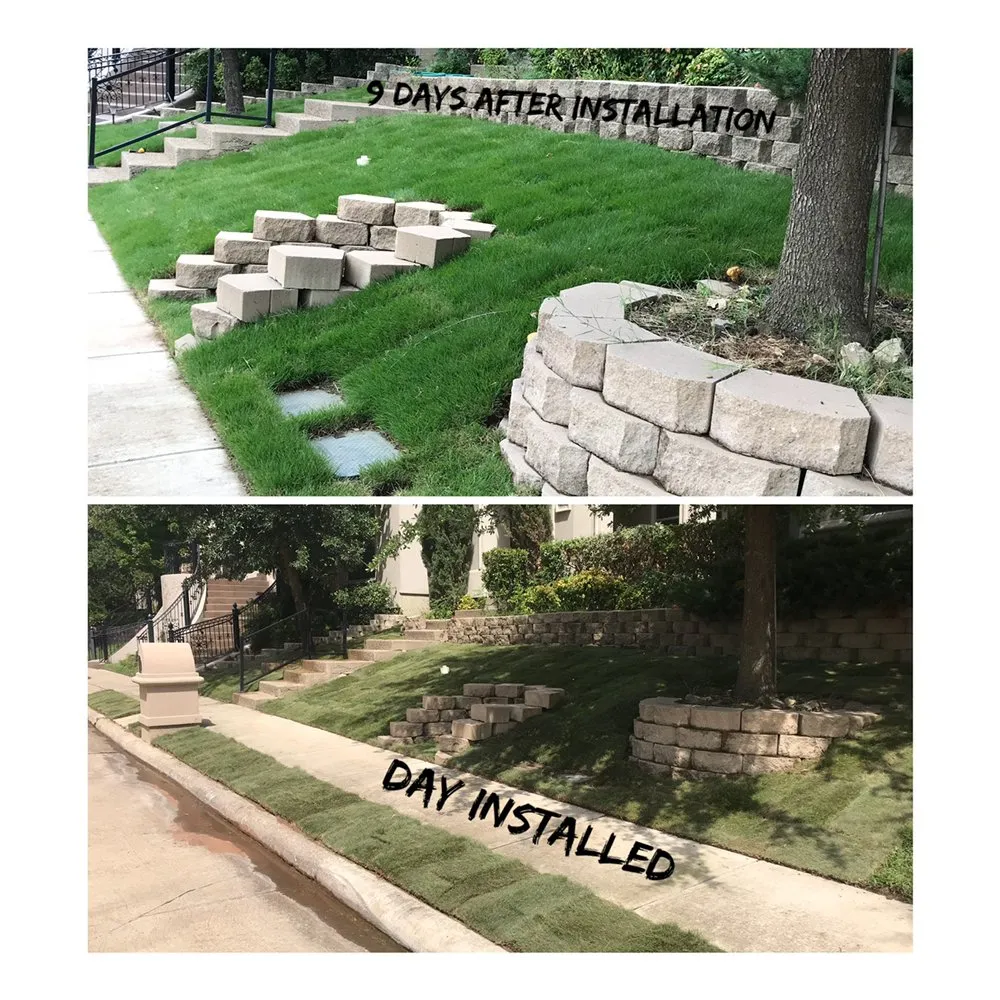 Top-rated landscape design experts serving Dallas, TX - STARTEX Landscaping