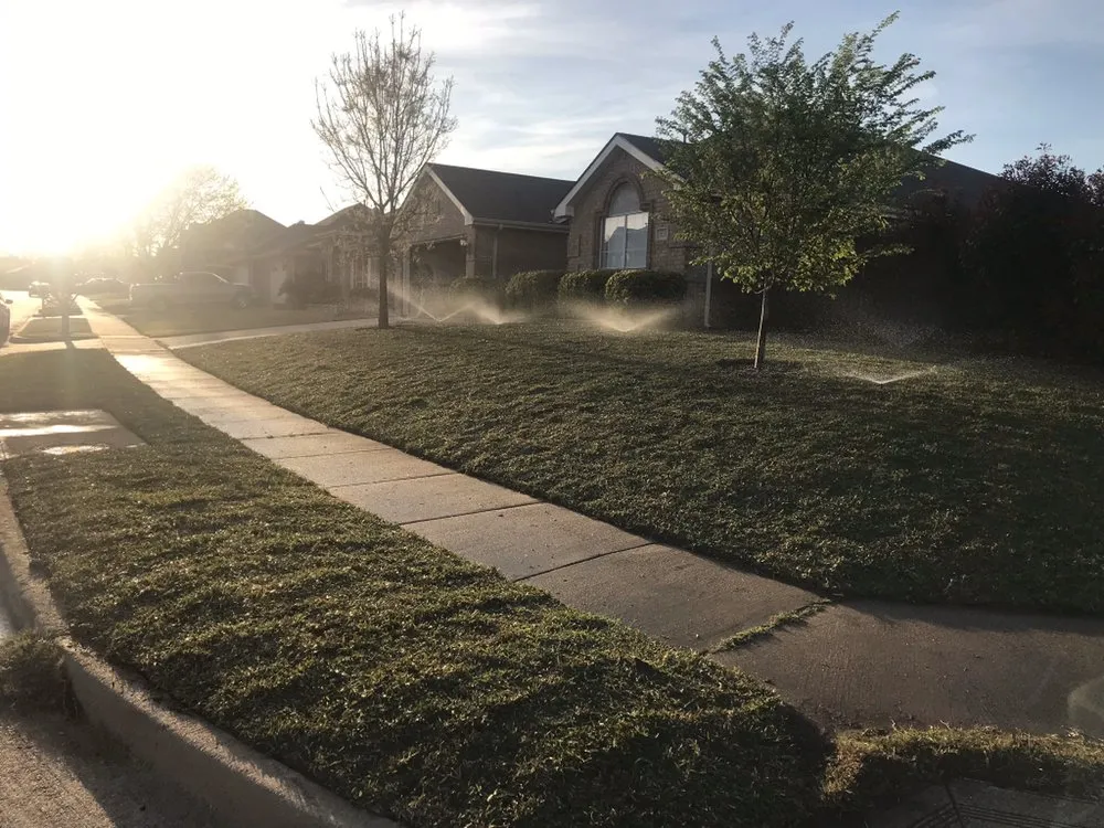 Top-rated lawn mowing service experts serving Dallas, TX - STARTEX Landscaping