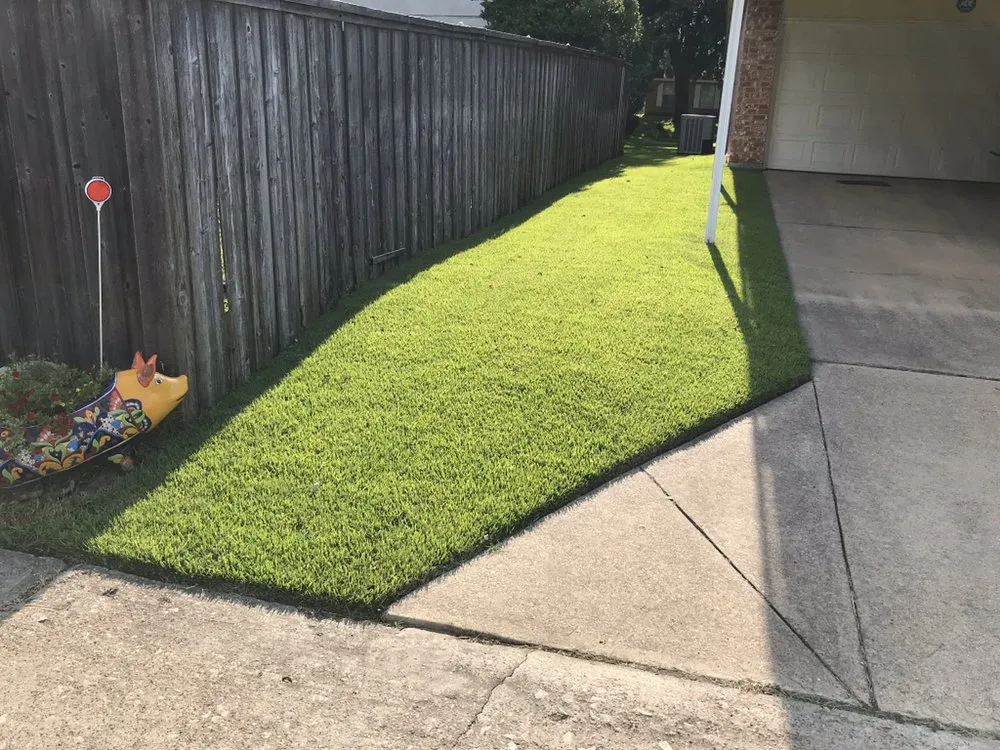 Expert lawn care service for outdoor upgrades across Dallas, TX - STARTEX Landscaping