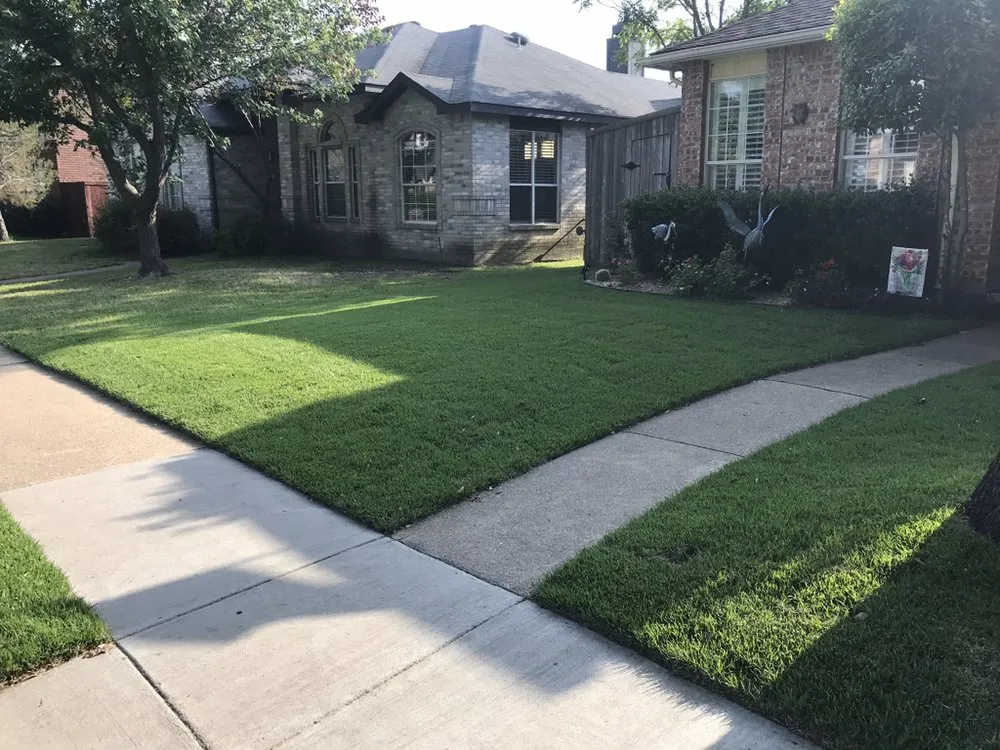 Top-rated landscape design experts serving Dallas, TX - STARTEX Landscaping