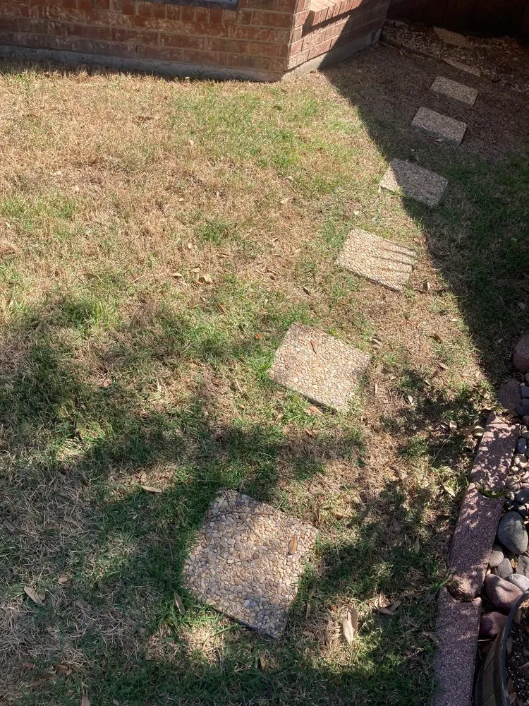 Custom yard maintenance in Dallas, TX by STARTEX Landscaping