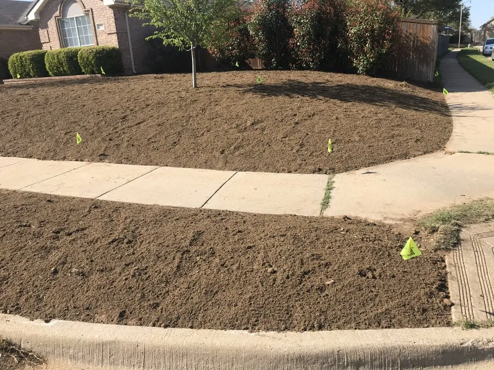 Top-rated yard cleanup service in Dallas, TX - STARTEX Landscaping