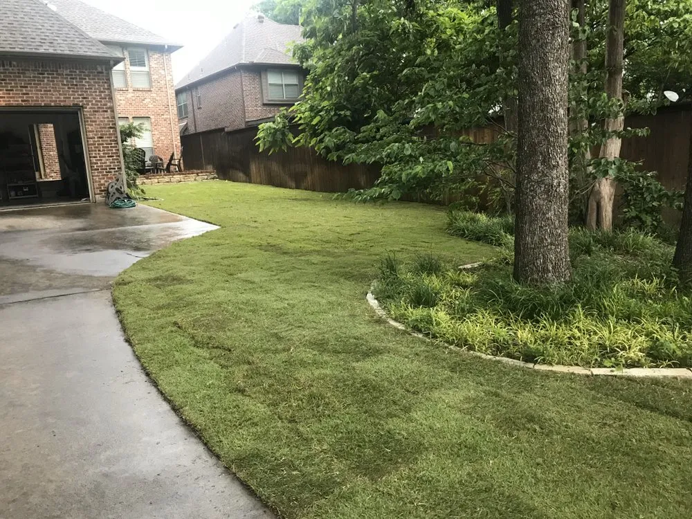 Reliable yard cleanup service in Dallas, TX by STARTEX Landscaping