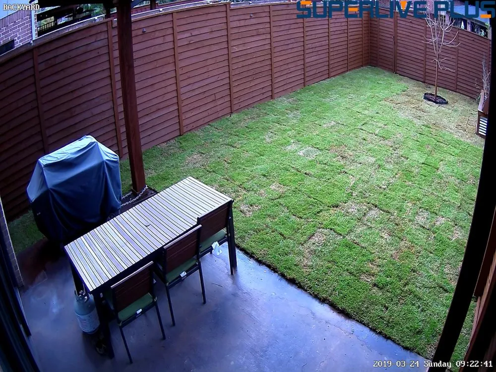 Local yard cleanup service for beautiful yards in Dallas, TX by STARTEX Landscaping