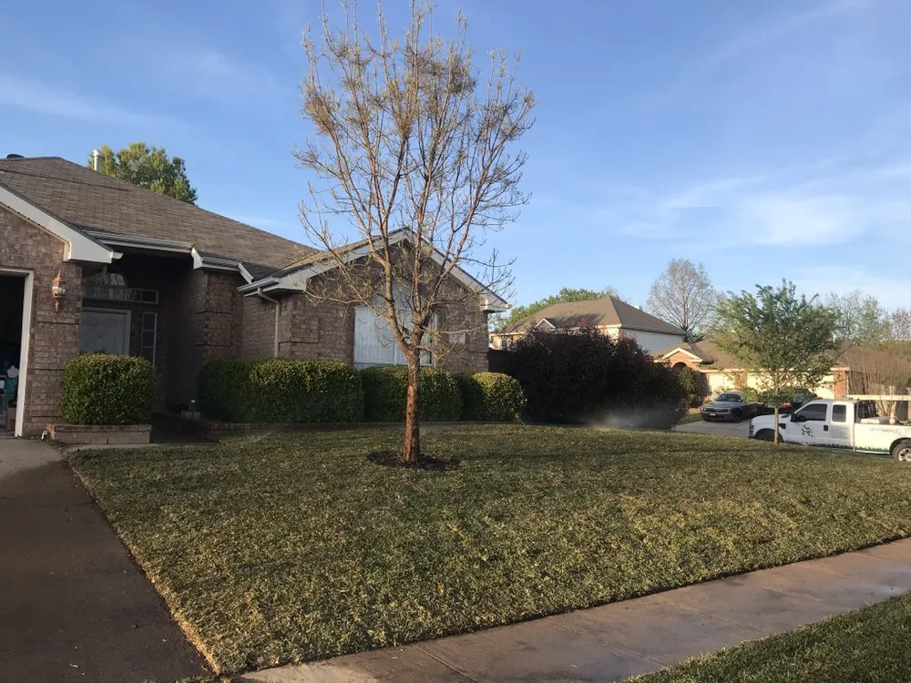 Expert yard maintenance in Dallas, TX by STARTEX Landscaping