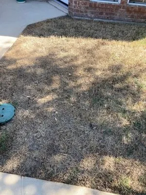 STARTEX Landscaping Logo