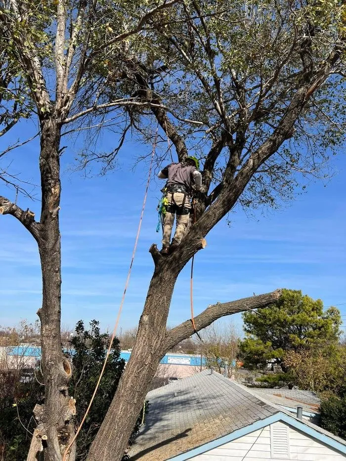 Expert garden landscaping for homes across Lawton, OK - Starting Over Lawn & Tree Service