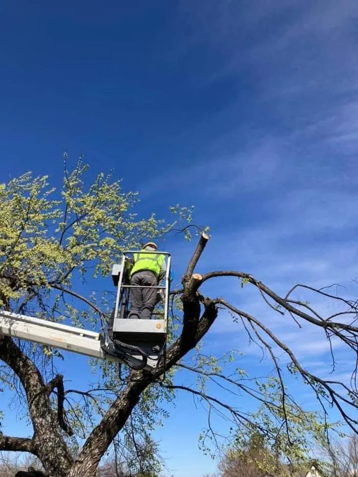 Custom landscape design for beautiful yards in Lawton, OK by Starting Over Lawn & Tree Service