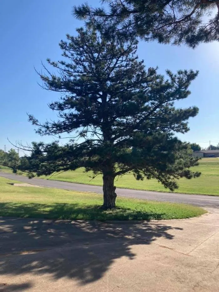 Top-rated lawn mowing service experts serving Lawton, OK - Starting Over Lawn & Tree Service