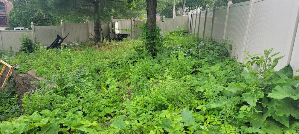 Custom residential landscaping in Ottawa, IL by Starved Rock Property Maintenance