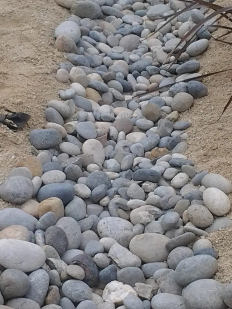 Professional landscape design in Lompoc, CA - Starving Students Lawnscape