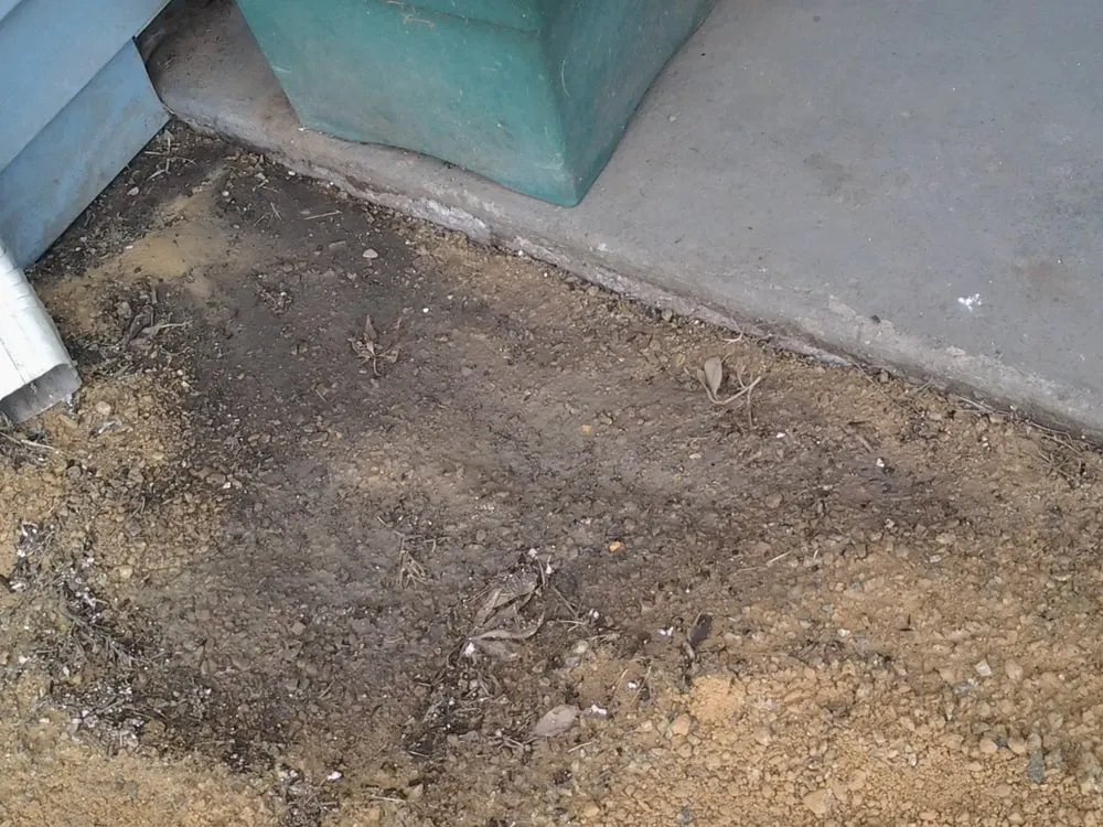 Custom landscaping services in Lompoc, CA - Starving Students Lawnscape