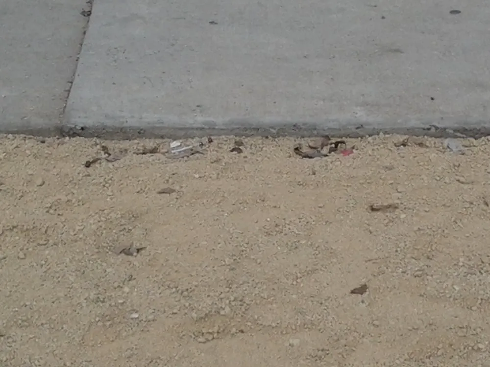 Reliable landscape design for beautiful yards in Lompoc, CA by Starving Students Lawnscape