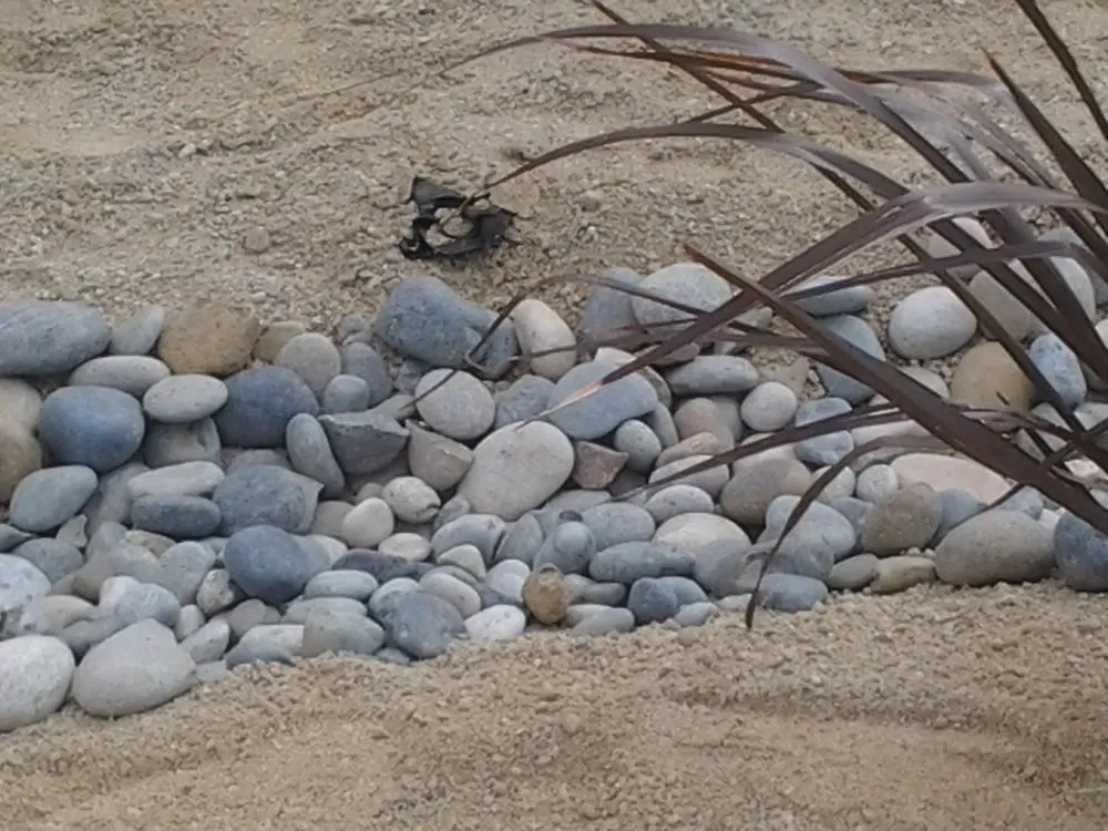 Affordable landscaping services experts serving Lompoc, CA - Starving Students Lawnscape