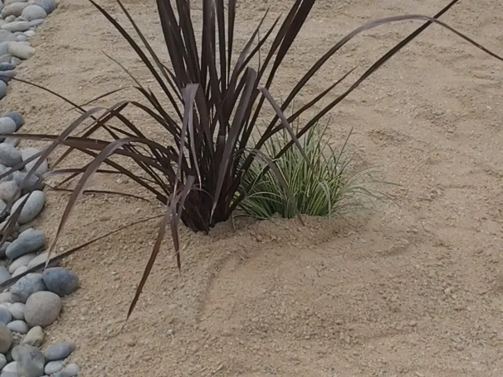 Affordable garden landscaping for homes across Lompoc, CA - Starving Students Lawnscape