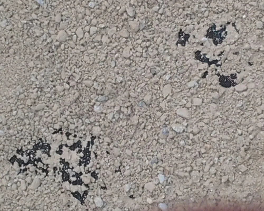 Reliable lawn care service in Lompoc, CA by Starving Students Lawnscape