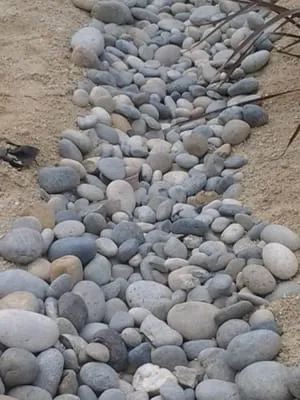 Starving Students Lawnscape Logo