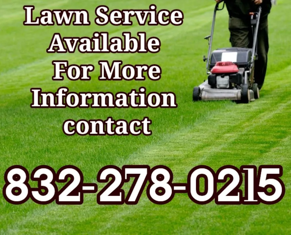 Expert landscape design in Rosenberg, TX - Starz Lawn Service