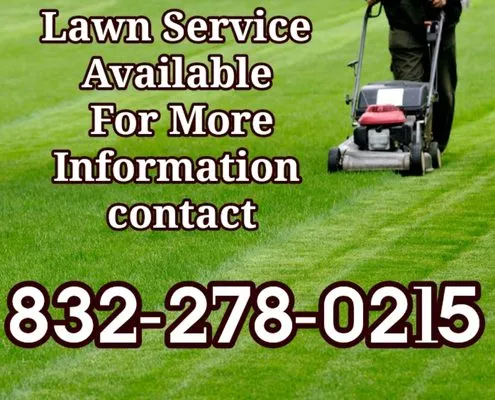 Starz Lawn Service Logo
