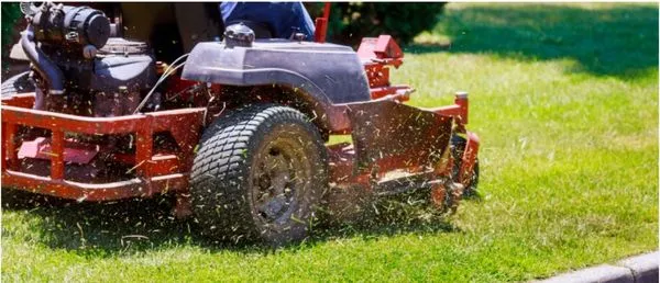 Starzec Lawn Care And Landscaping