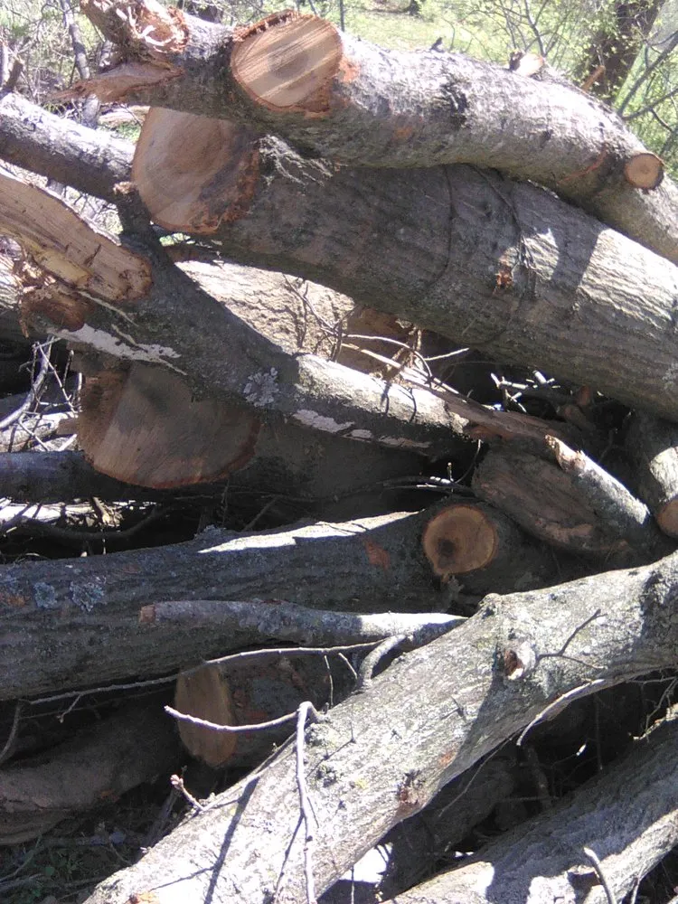 Trusted landscaping services experts serving Bethalto, IL - Stassi's Outdoor Services