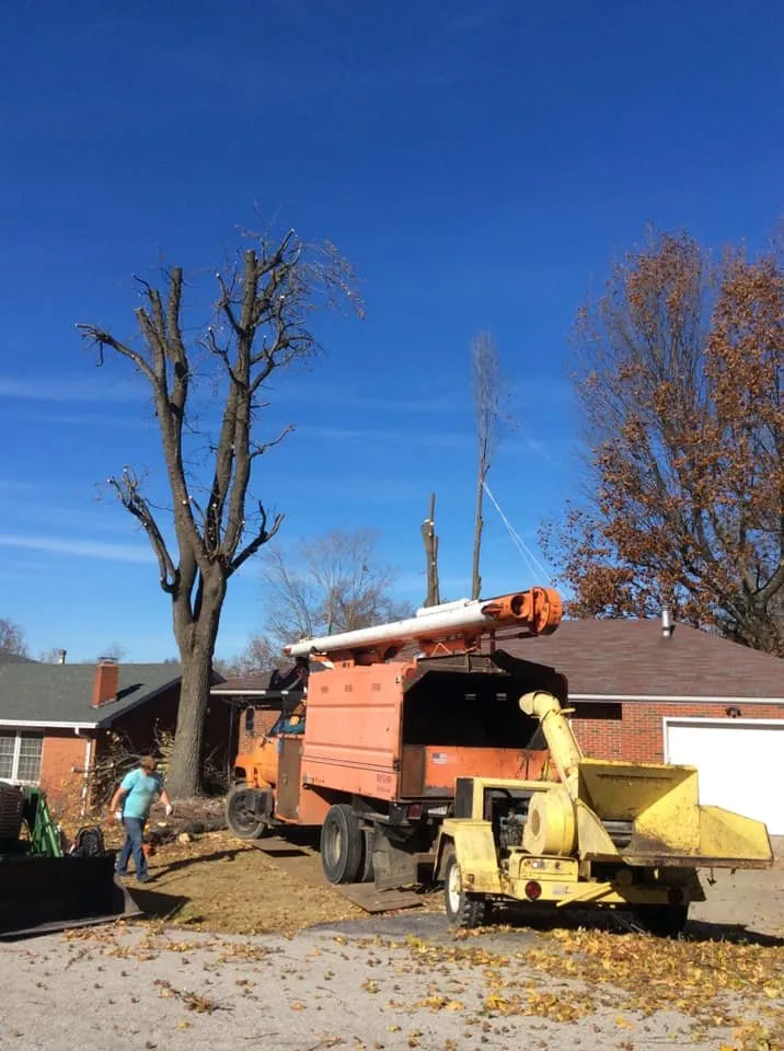 Reliable garden landscaping in Bethalto, IL by Stassi's Outdoor Services