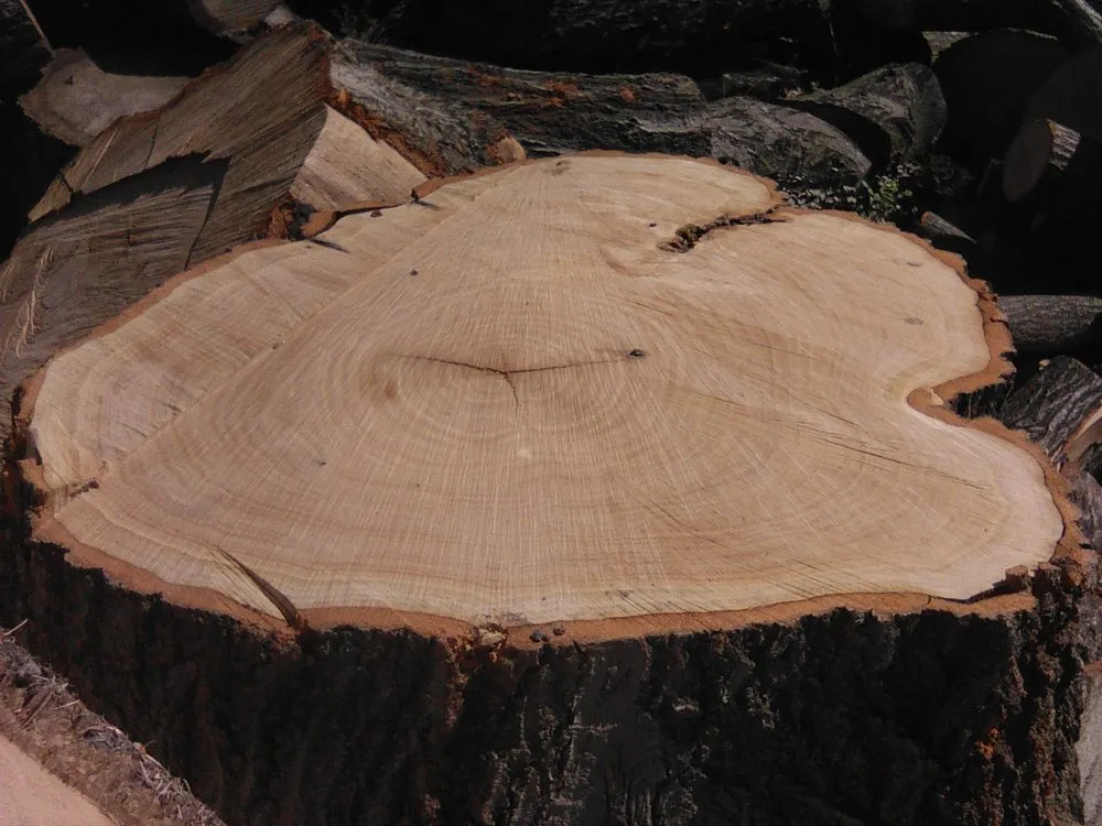 Reliable garden landscaping in Bethalto, IL by Stassi's Outdoor Services